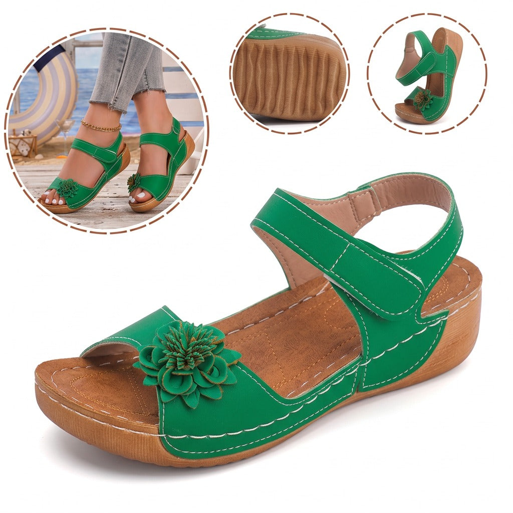 shoe