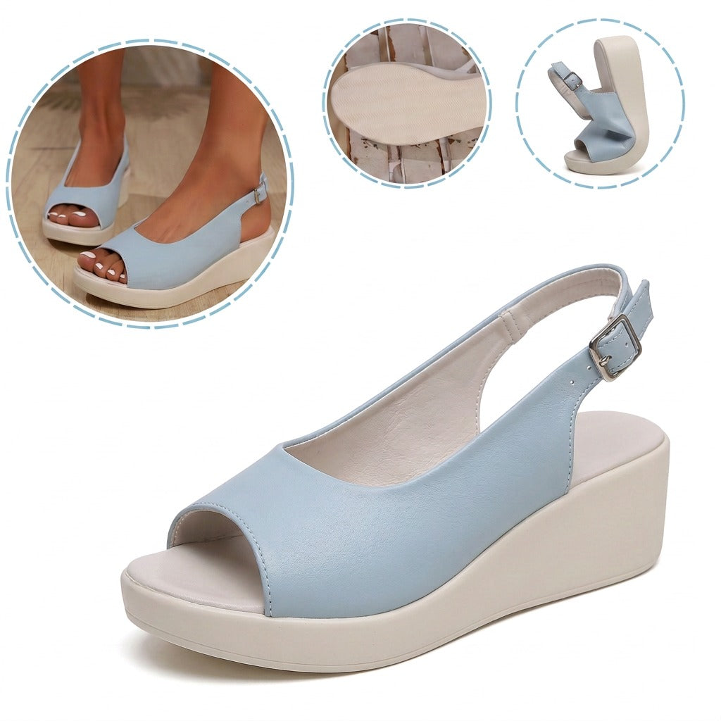 shoe