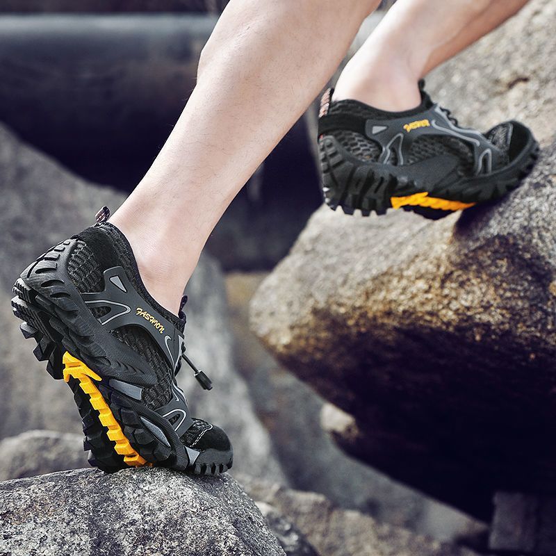 shoe
